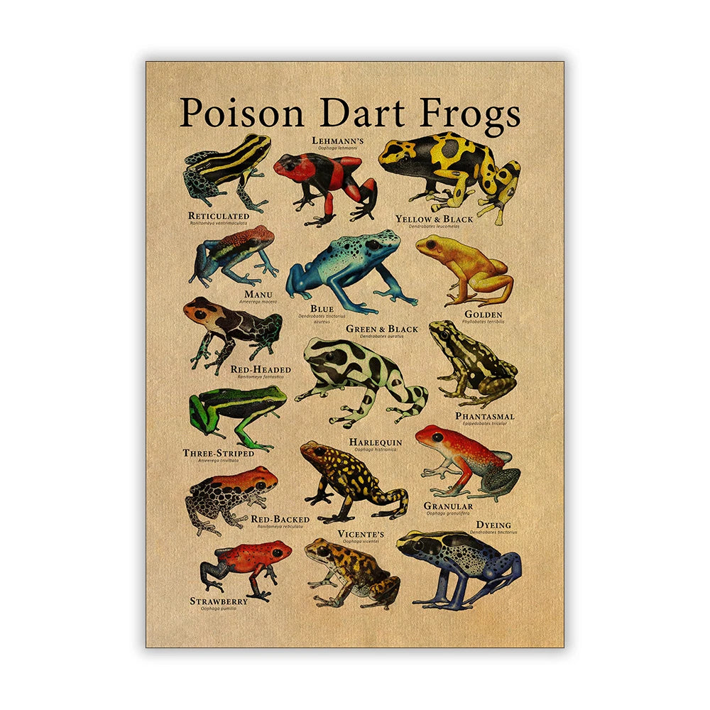 Poison Dart Frogs Poster Frogs of the World Species Art Print Scientific Illustration Canvas Painting Kids Room Wall Decoration