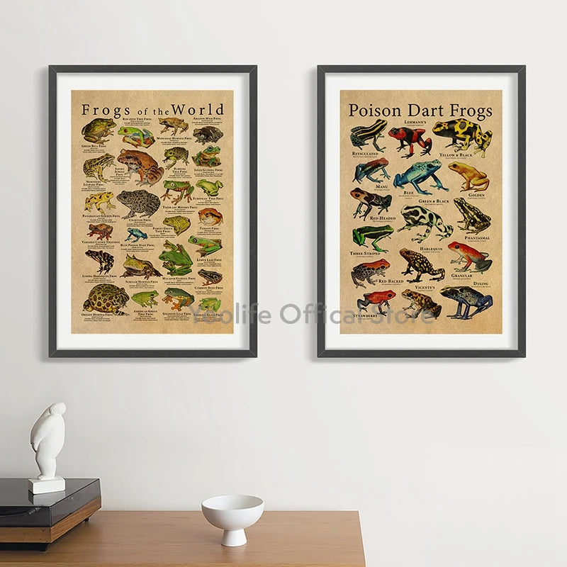 Poison Dart Frogs Poster Frogs of the World Species Art Print Scientific Illustration Canvas Painting Kids Room Wall Decoration