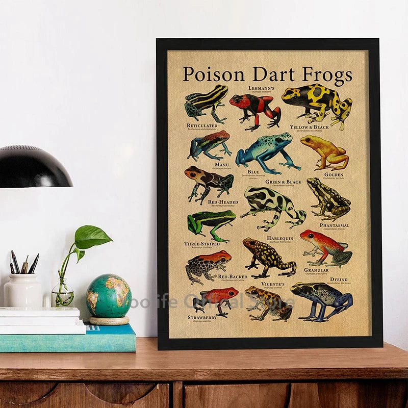 Poison Dart Frogs Poster Frogs of the World Species Art Print Scientific Illustration Canvas Painting Kids Room Wall Decoration