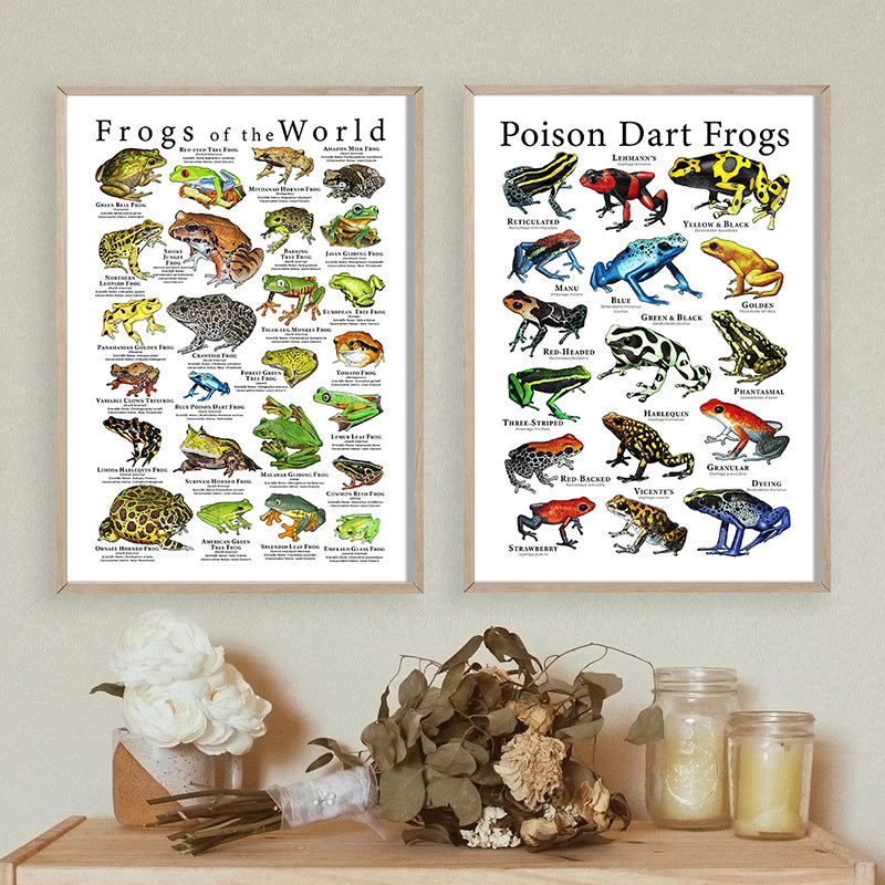 Poison Dart Frogs Poster Frogs of the World Species Art Print Scientific Illustration Canvas Painting Kids Room Wall Decoration