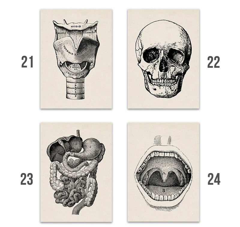 Vintage Human Anatomy Artwork Medical Wall Picture Muscle Skeleton Poster Canvas Art Print Education Hospital Pharmacy Paintings