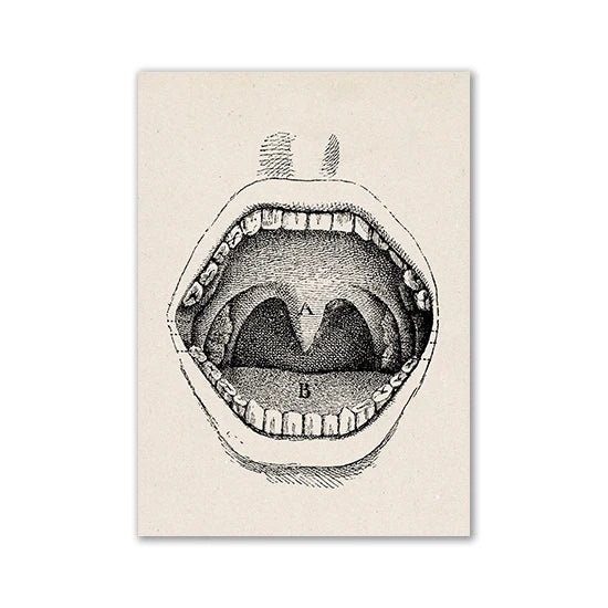 Vintage Human Anatomy Artwork Medical Wall Picture Muscle Skeleton Poster Canvas Art Print Education Hospital Pharmacy Paintings