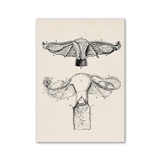 Vintage Human Anatomy Artwork Medical Wall Picture Muscle Skeleton Poster Canvas Art Print Education Hospital Pharmacy Paintings