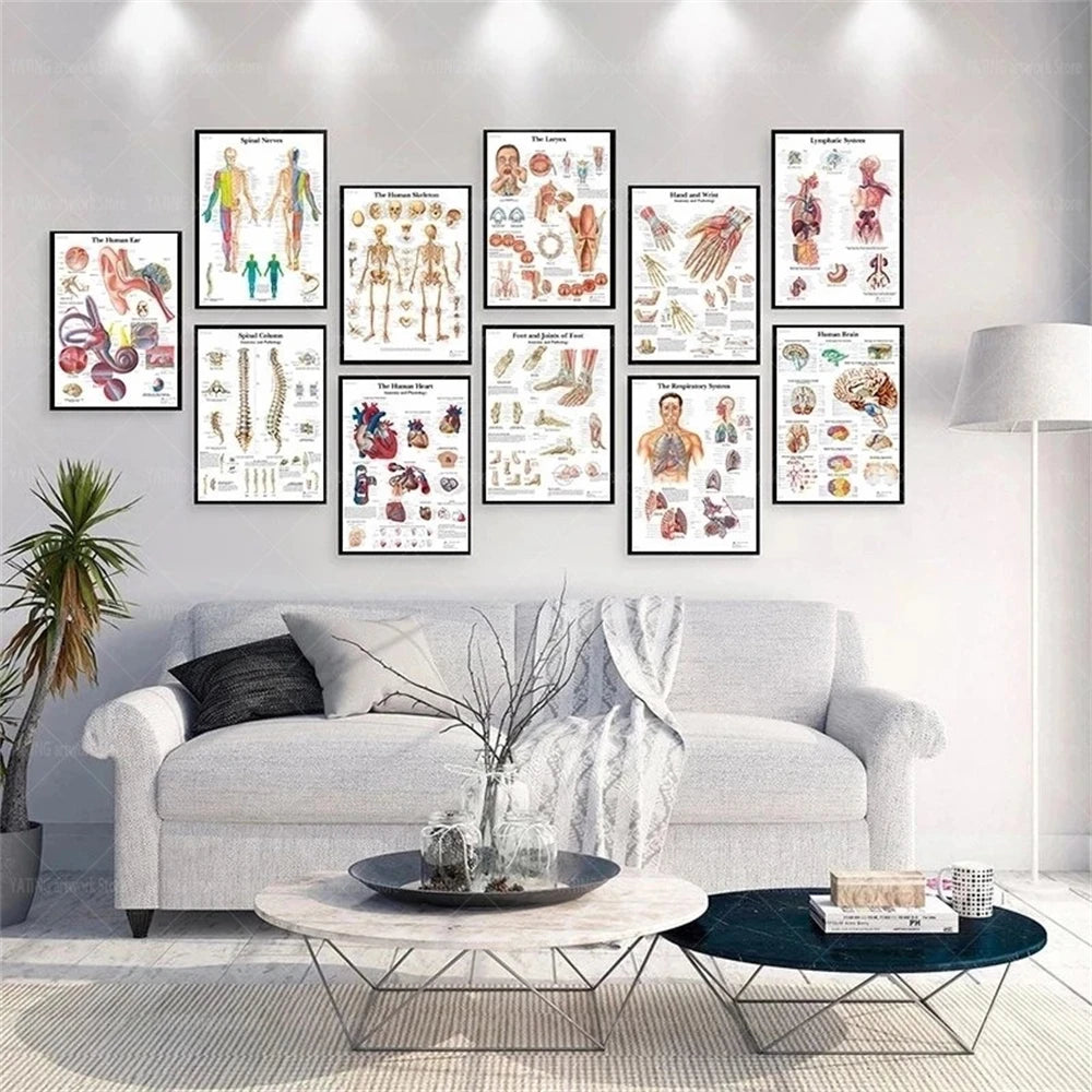 Human Musculoskeletal System Anatomy Poster Human Anatomy Medical Wall Decoration Medical Education Canvas Painting Wall Sticker