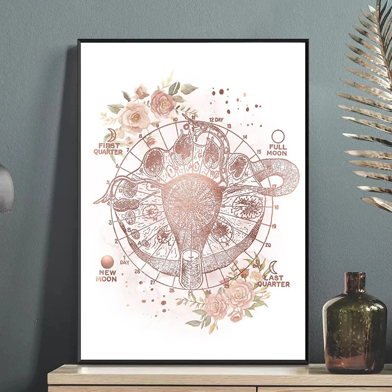 Female Anatomy Fertility Pregnancy Posters Prints Canvas Painting Wall Art Picture Gynecology Obstetrics Decoration Mural Gift