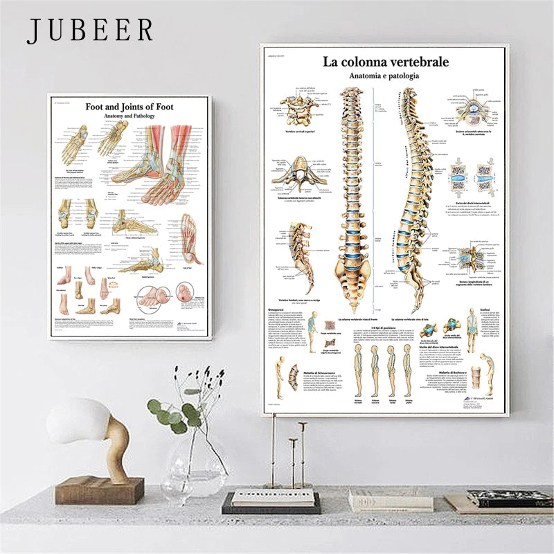 The Body Structure Skeleton Wall Art Nervous System Anatomy Canvas Picture Education Poster Medical Decoracion Painting Prints
