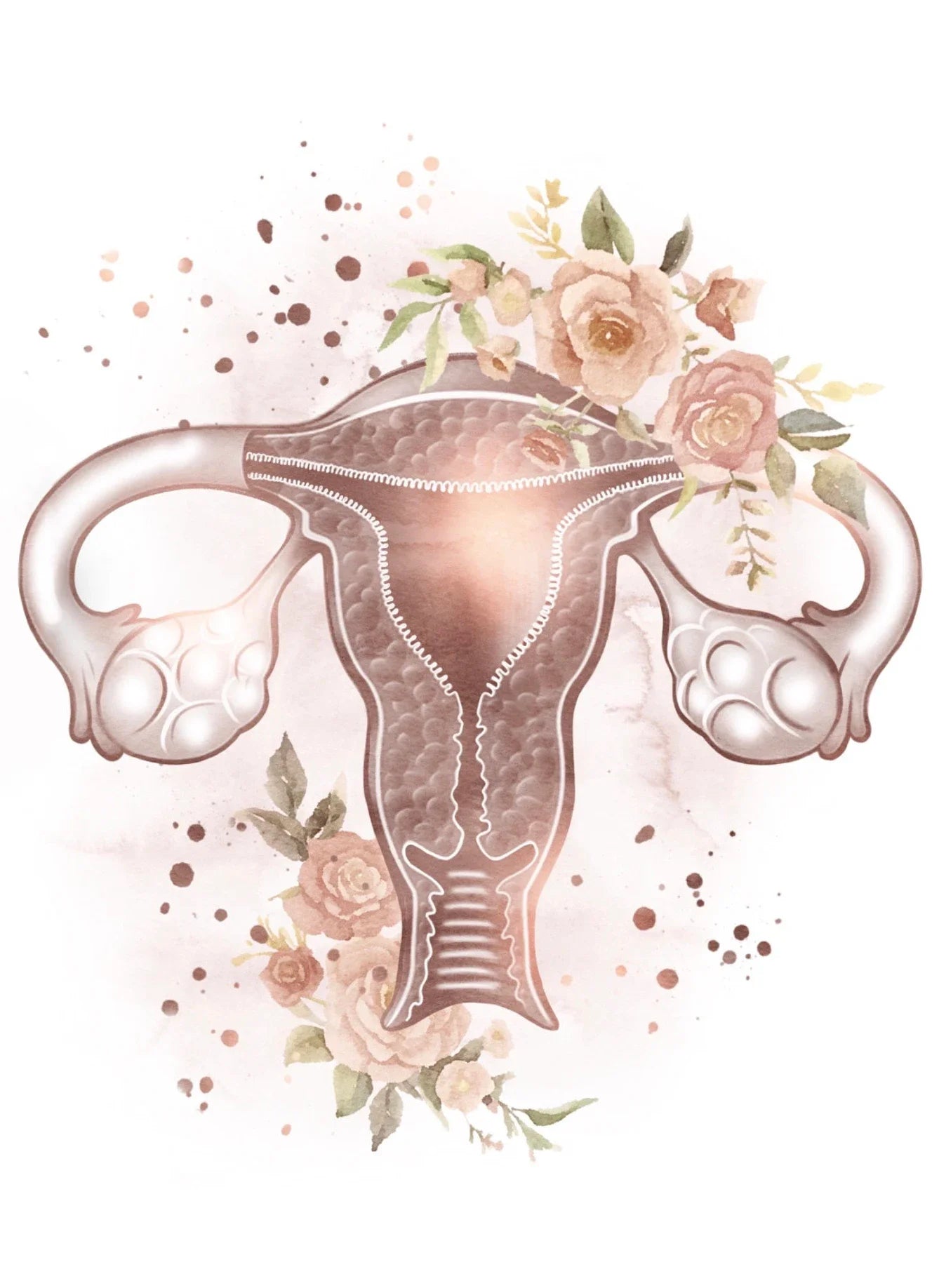 Female Anatomy Fertility Pregnancy Posters Prints Canvas Painting Wall Art Picture Gynecology Obstetrics Decoration Mural Gift