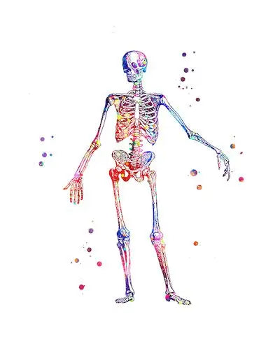 Anatomy Medical Poster Flower Organ Wall Art Canvas Painting Anthropology Educational Picture for Laboratory Doctor's Room Decor