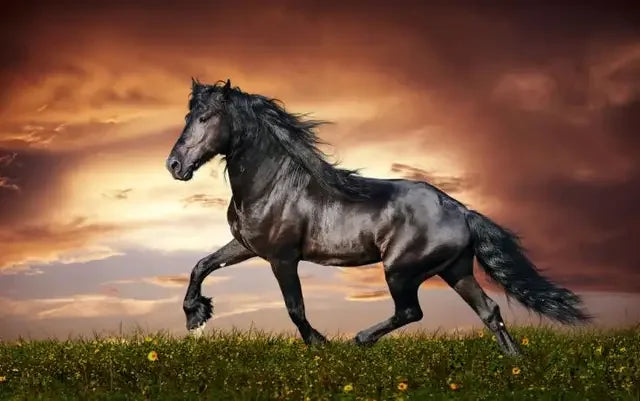 Wild Horse Running Canvas Painting Animal Steed Wall Art Posters and Prints for Home Decoration Modern Room Decor Cuadros