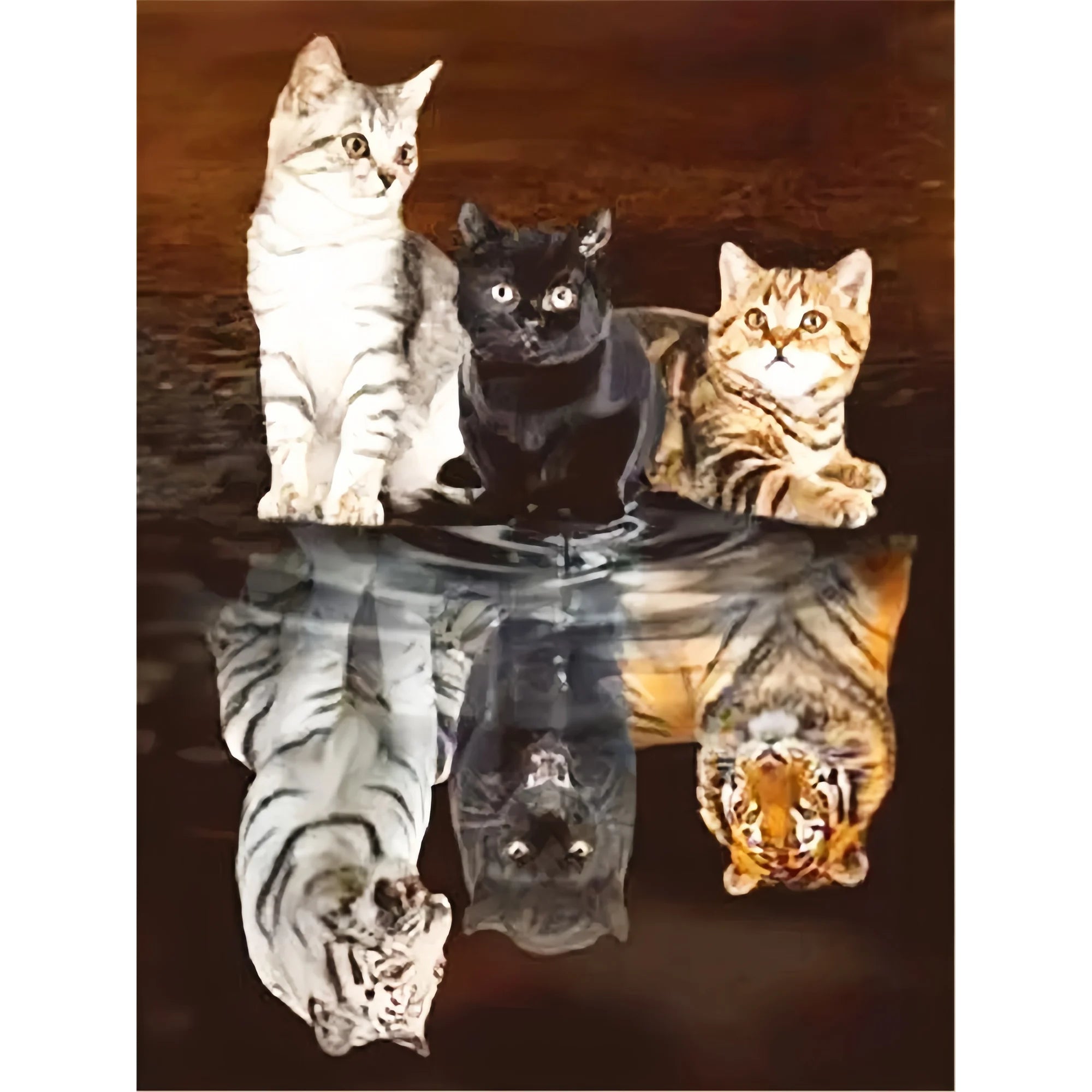 Huacan DIY Diamond Painting Cat Full Round Square Drill Embroidery Tiger Cross Stitch Kit Art Handmade Gift Home Decoration