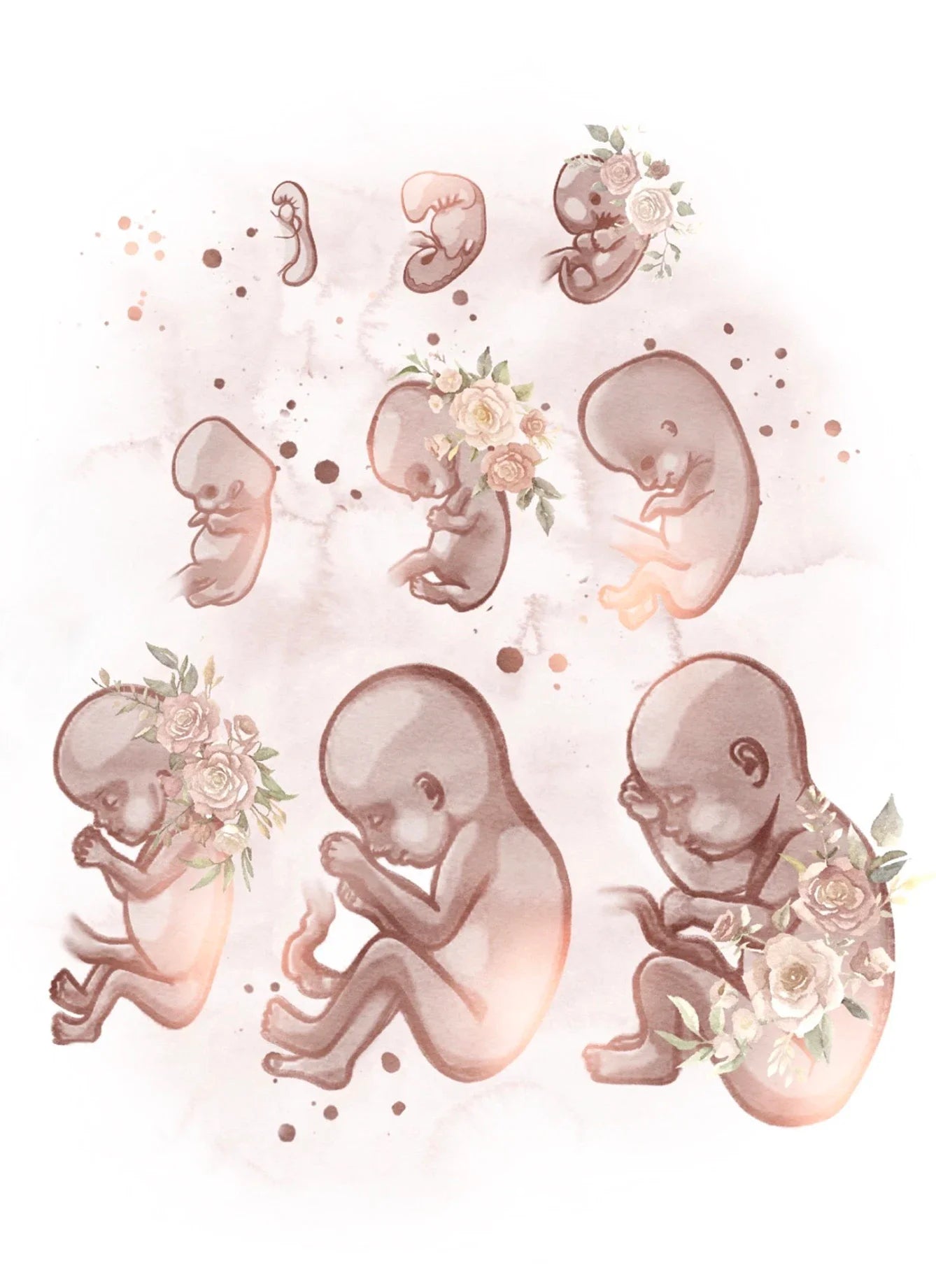 Female Anatomy Fertility Pregnancy Posters Prints Canvas Painting Wall Art Picture Gynecology Obstetrics Decoration Mural Gift