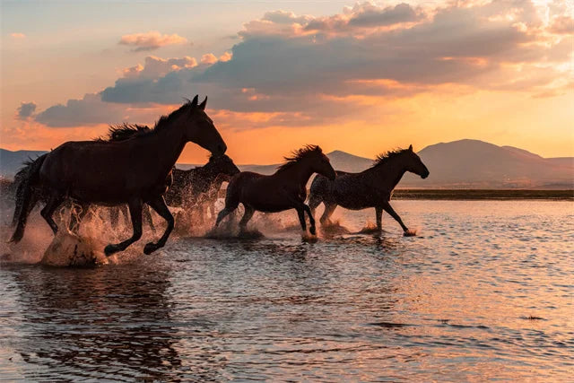 Horse Wall Art Posters Horse Running Canvas Art Print Painting Beautiful Horses Pictures for Modern Home Living Room Decoration