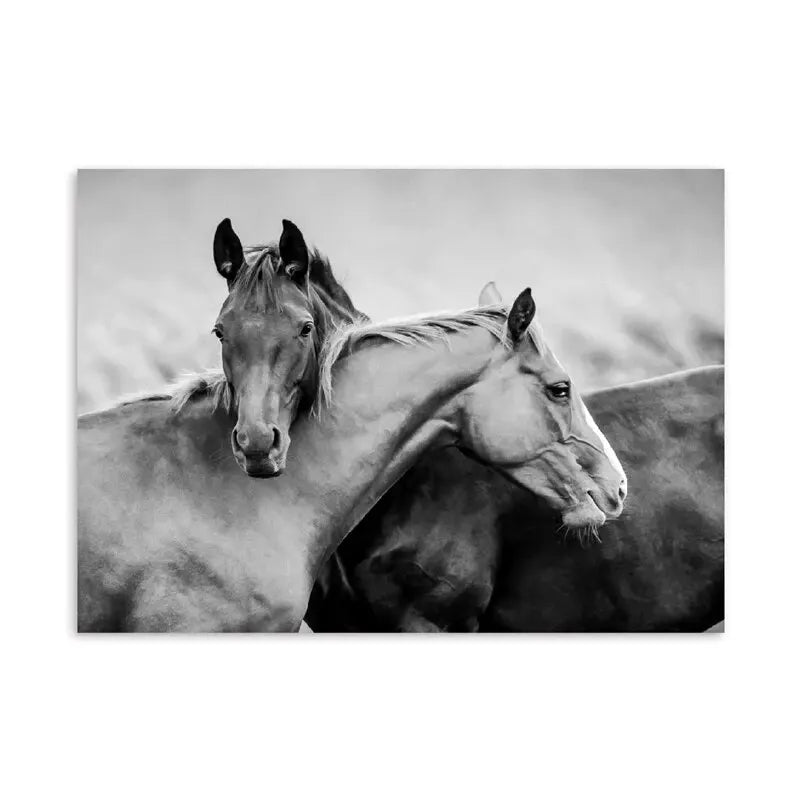 Horse Black and White Photo Poster, Rustic Farm Wall Art, Animal Prints, Canvas Painting Picture, Ideal for Home Room Wall Decor