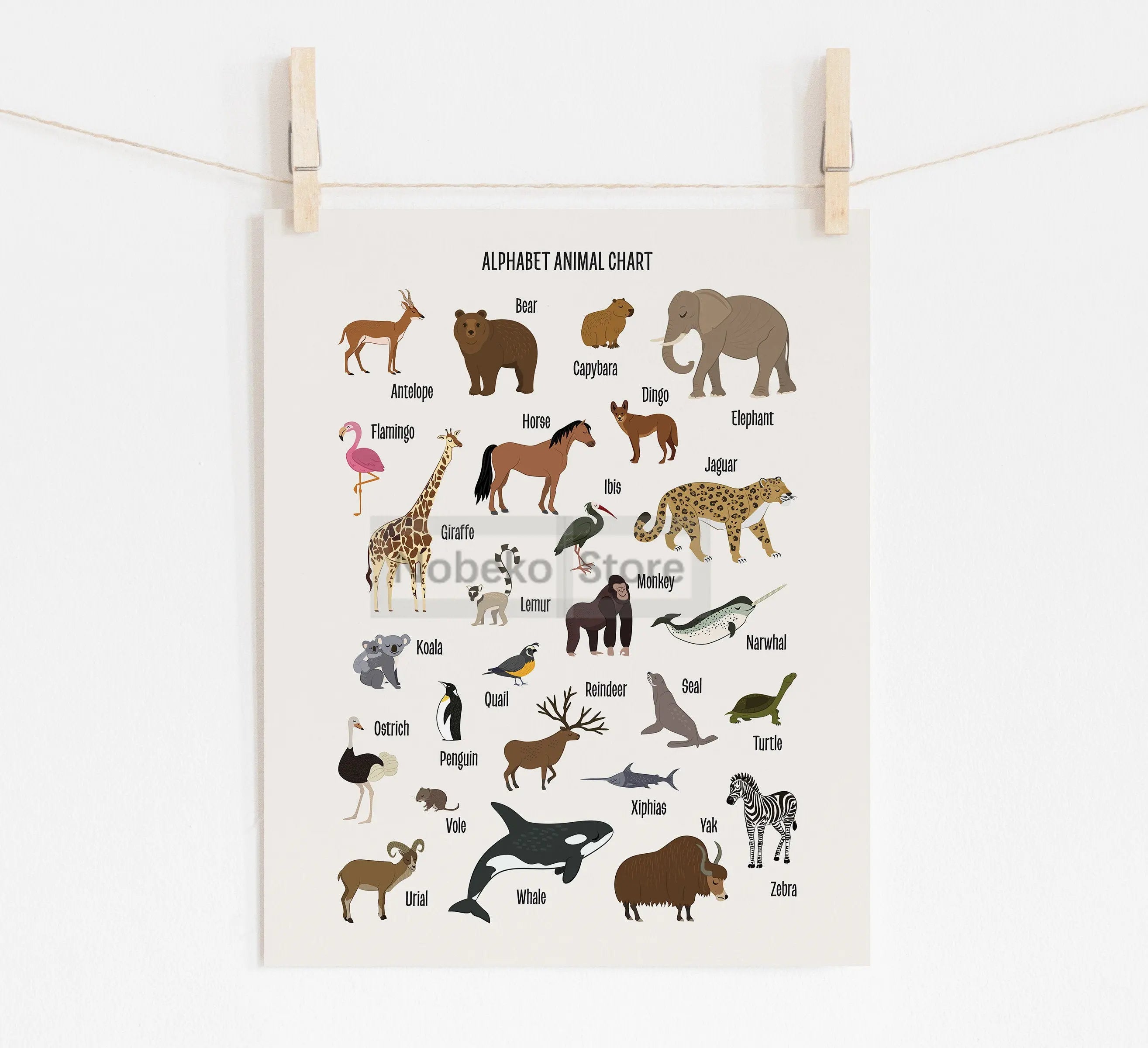 Animal Alphabet Educational Posters Watercolor Animals Prints Canvas Wall Art Pictures Neutral Nursery and Playroom Decoration