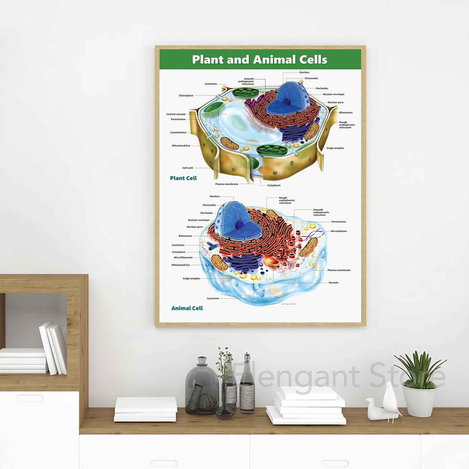 Animal and Plant Cell Biology Posters and Prints Science Educational Wall Art Canvas Painting Pictures Laboratory Office Decor