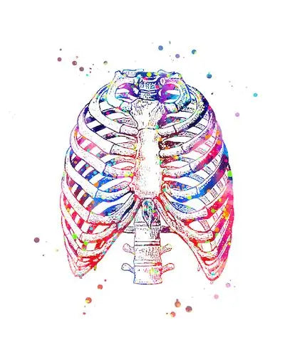 Anatomy Medical Poster Flower Organ Wall Art Canvas Painting Anthropology Educational Picture for Laboratory Doctor's Room Decor