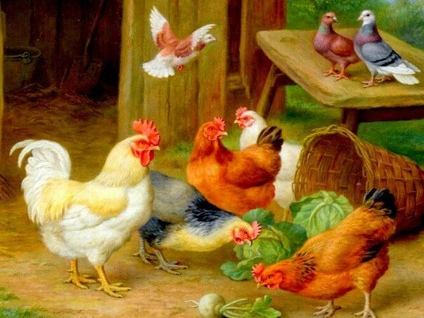 Meian Animal Chicken DIY Cross Stitch 11CT Embroidery Kits Needlework Craft Set Printed Canvas Cotton Thread Home Decoration For