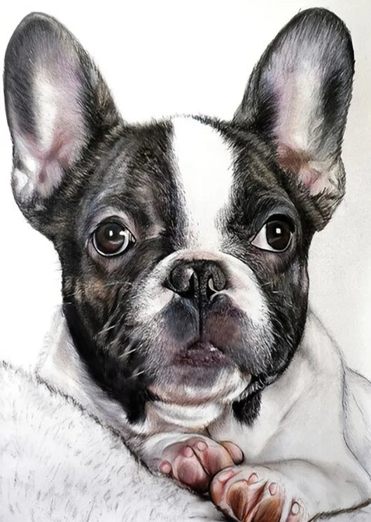 Diamond Painting Kit Dog Animal Gift Picture Of Rhinestones 5d DIY Cross Stitch Round Drill Embroidery 30x40cm Home Decor