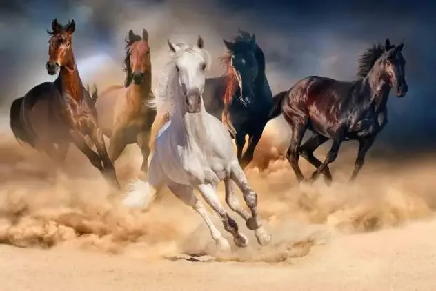 Wild Horse Running Canvas Painting Animal Steed Wall Art Posters and Prints for Home Decoration Modern Room Decor Cuadros