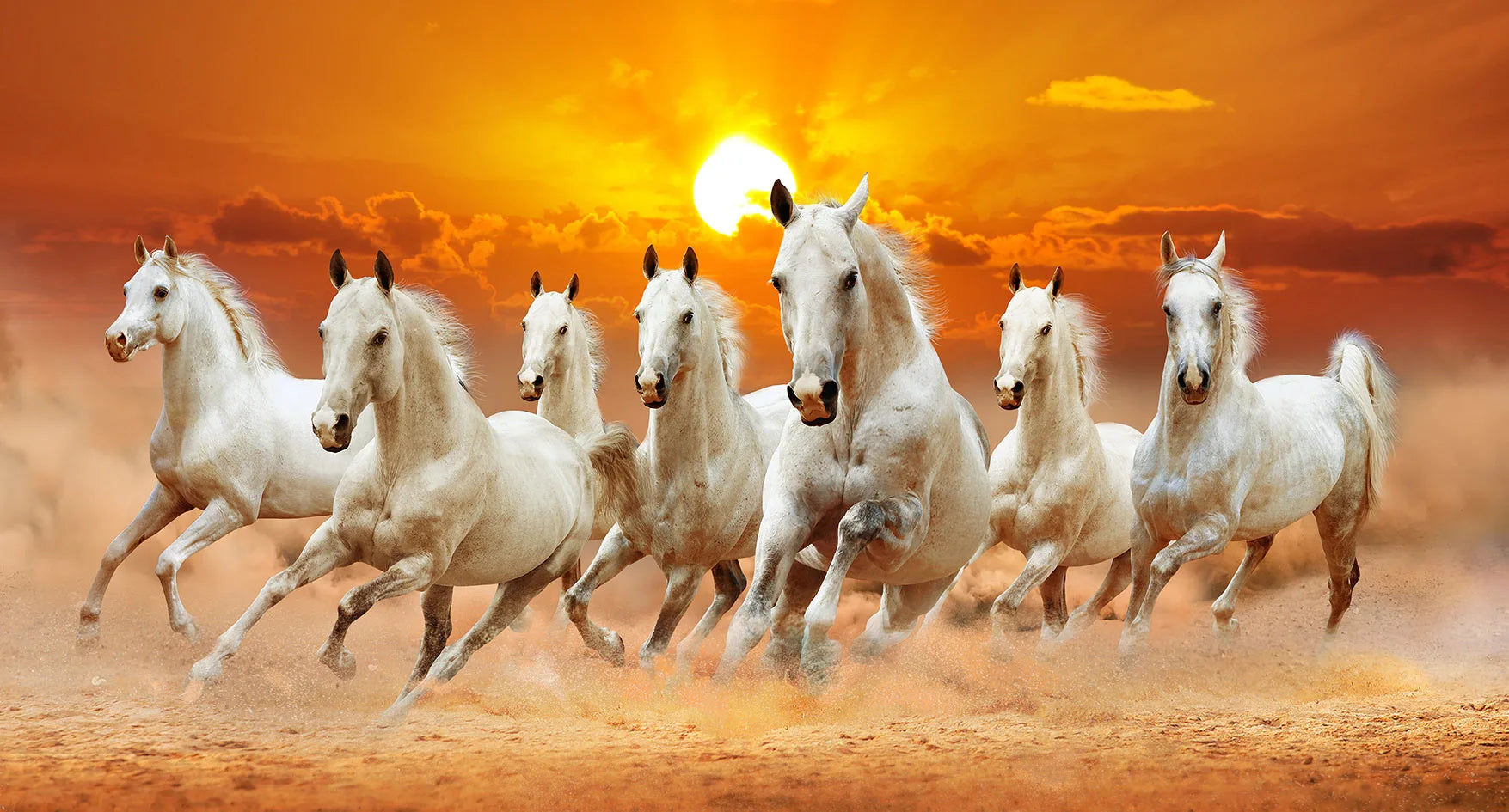 7 White Running Horses Canvas Painting Animal Posters and Prints Wall Art Picture