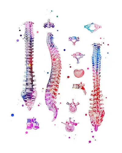 Anatomy Medical Poster Flower Organ Wall Art Canvas Painting Anthropology Educational Picture for Laboratory Doctor's Room Decor