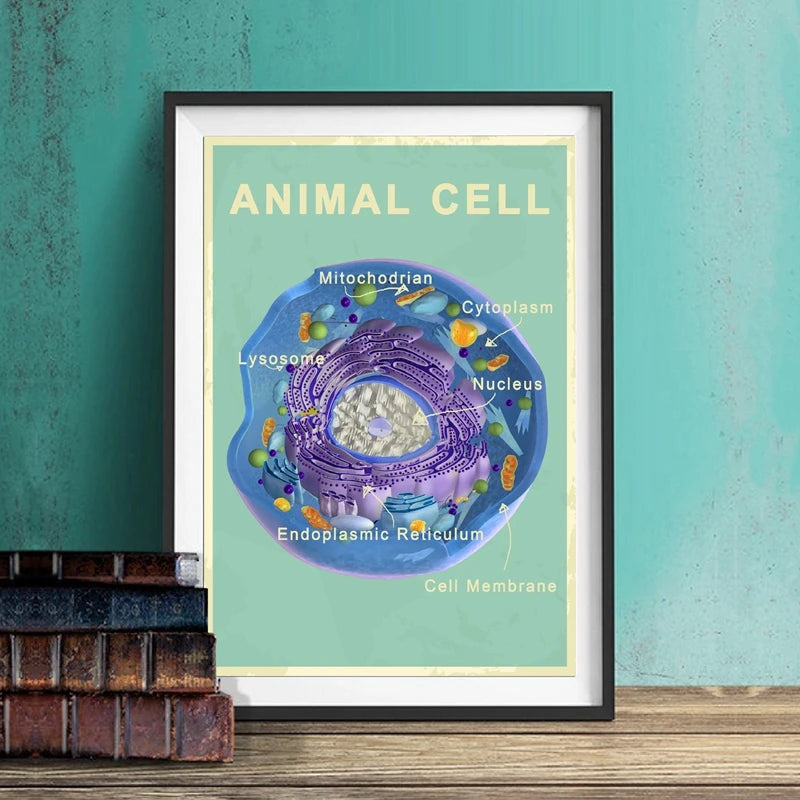 Animal and Plant Cell Biology Posters and Prints Science Educational Wall Art Canvas Painting Pictures Laboratory Office Decor