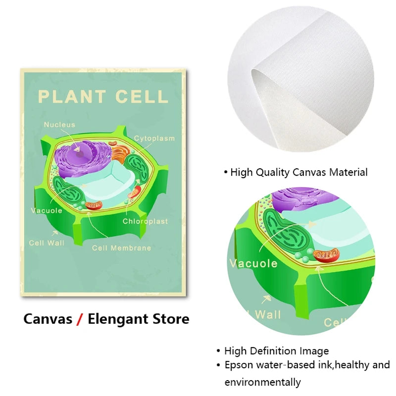 Animal and Plant Cell Biology Posters and Prints Science Educational Wall Art Canvas Painting Pictures Laboratory Office Decor
