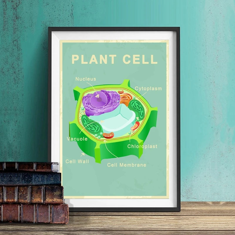 Animal and Plant Cell Biology Posters and Prints Science Educational Wall Art Canvas Painting Pictures Laboratory Office Decor