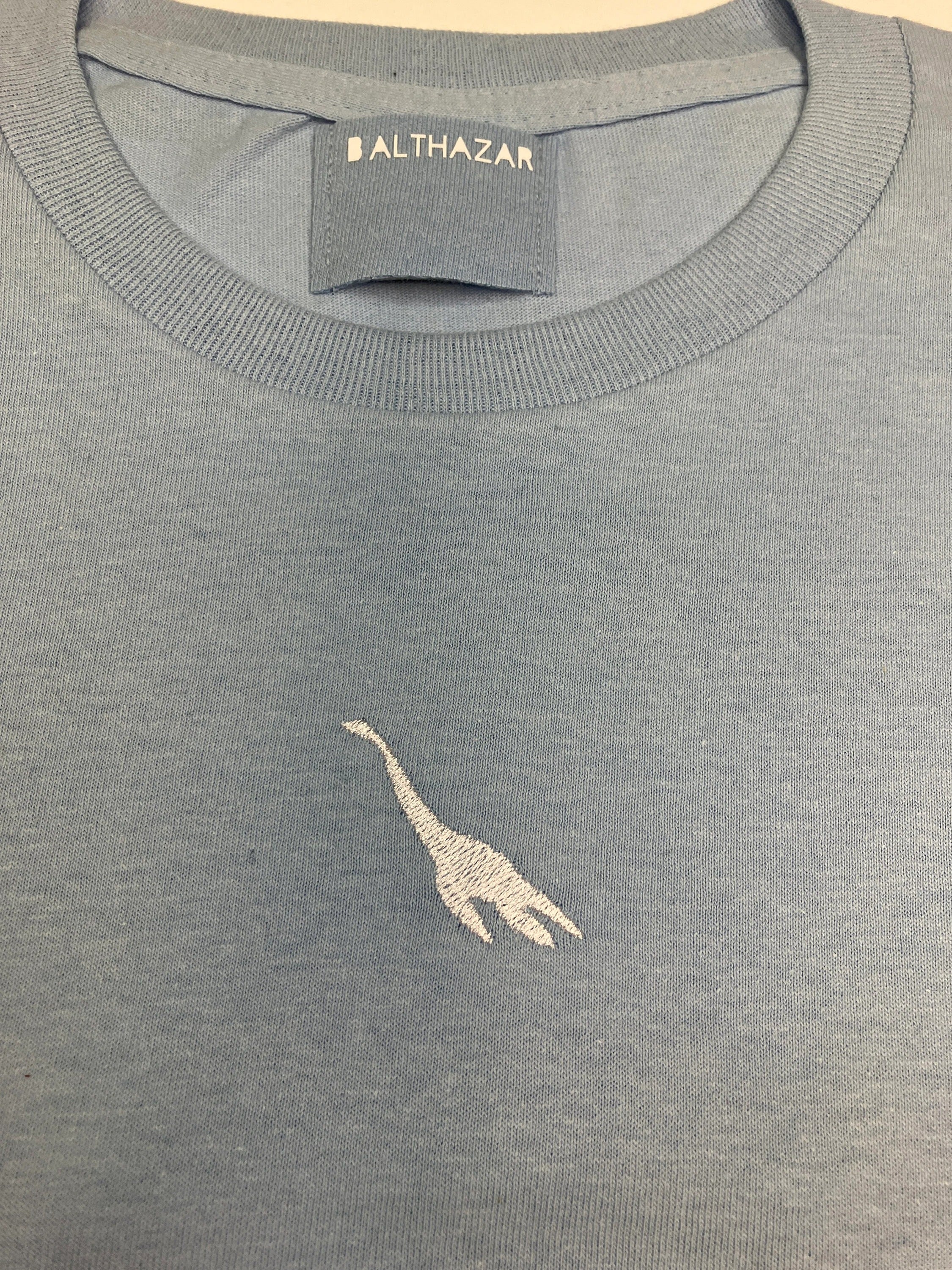 Embroidered Miniature dinosaur t-shirt - customise your dinosaur - cute t-shirt