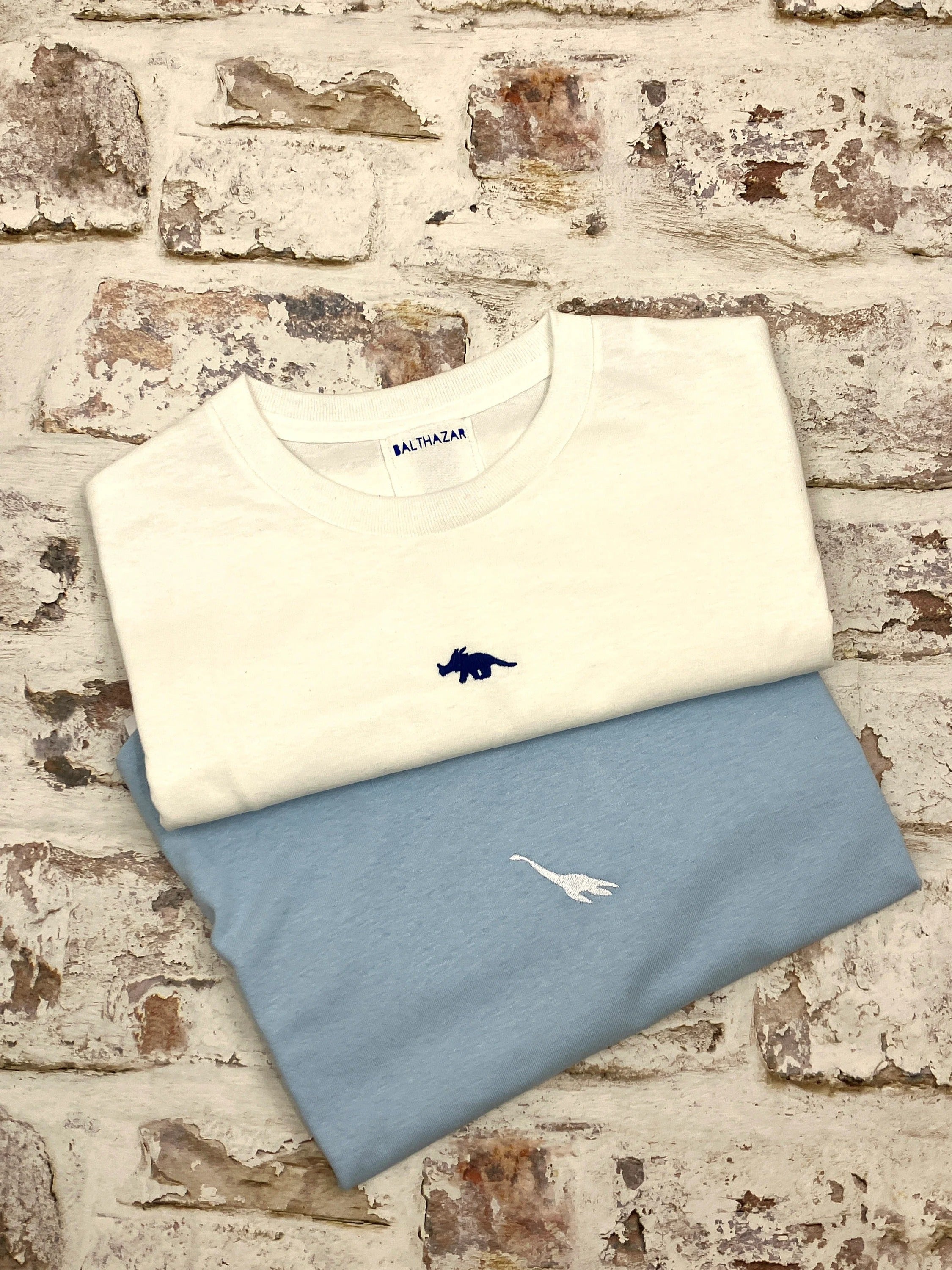 Embroidered Miniature dinosaur t-shirt - customise your dinosaur - cute t-shirt
