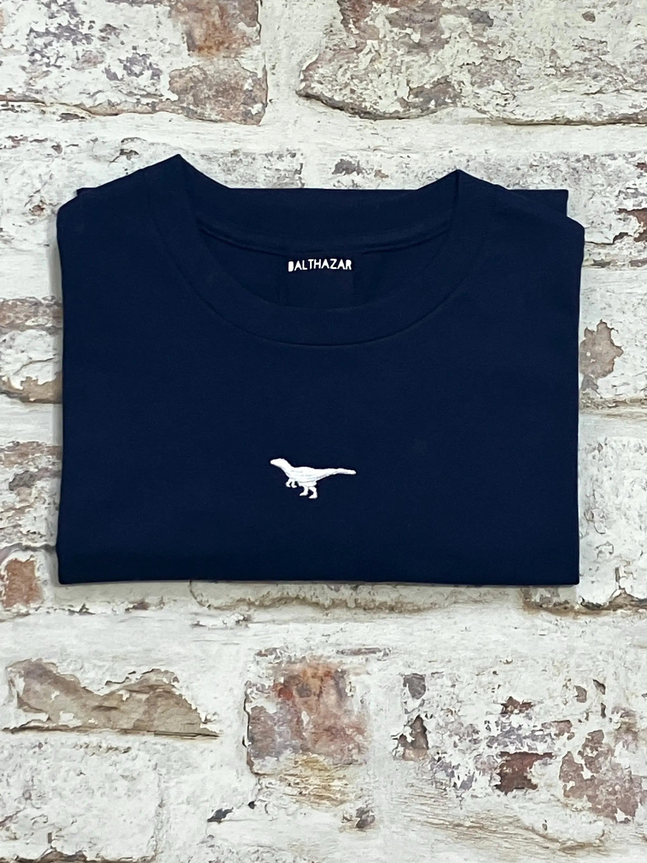 Embroidered Miniature dinosaur t-shirt - customise your dinosaur - cute t-shirt