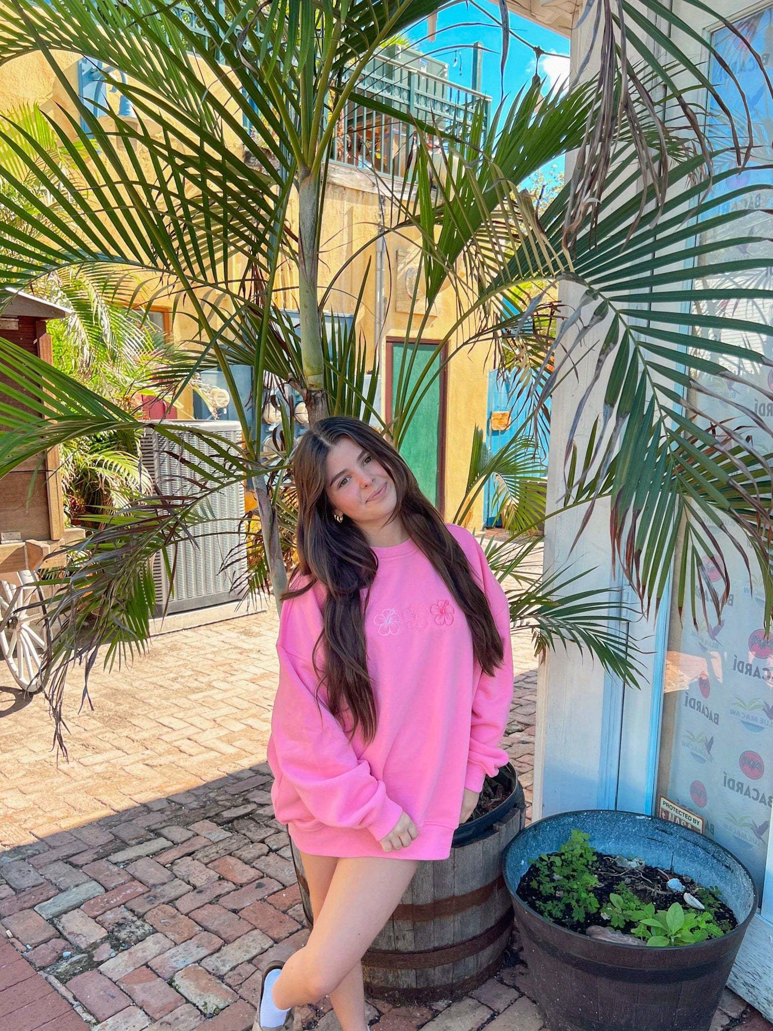 Women'S Long-Sleeved Round Neck Light Blue Butterfly Pattern Three-Color Round Neck Sports Sweatshirt Suitable for Going Out And Partying Streetwear