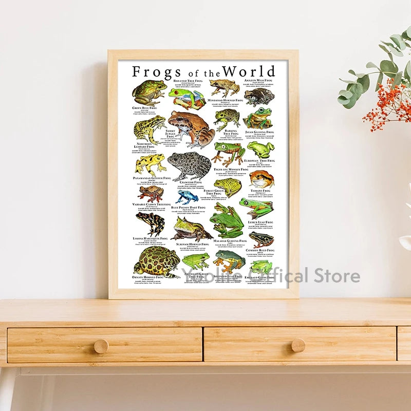 Poison Dart Frogs Poster Frogs of the World Species Art Print Scientific Illustration Canvas Painting Kids Room Wall Decoration