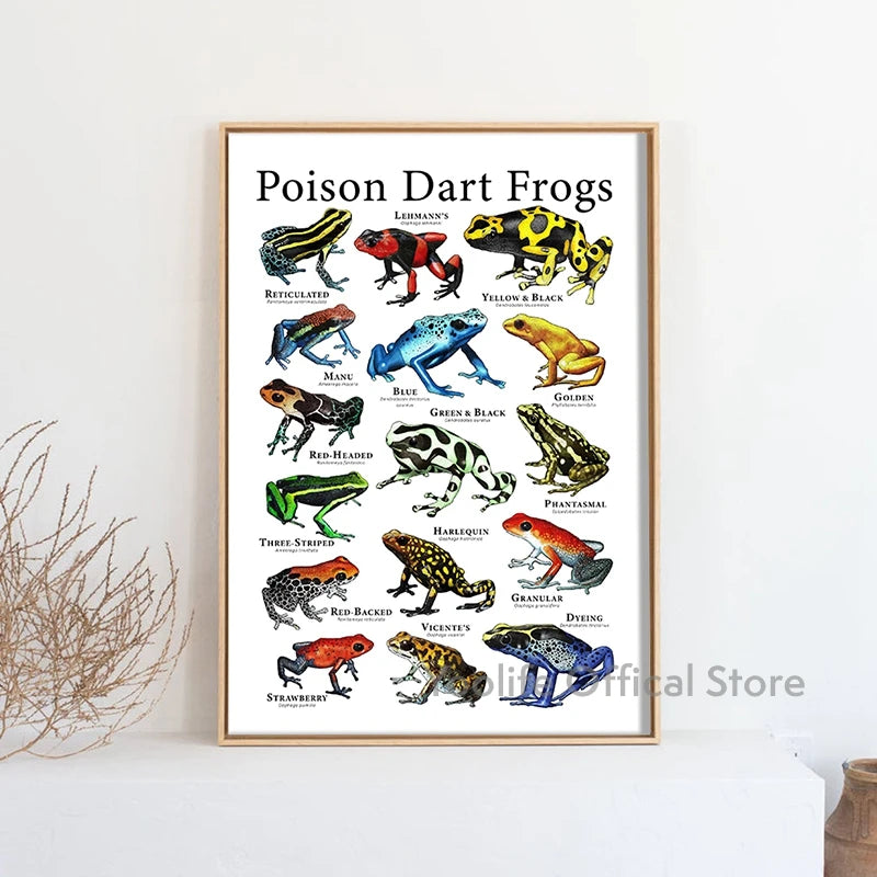 Poison Dart Frogs Poster Frogs of the World Species Art Print Scientific Illustration Canvas Painting Kids Room Wall Decoration