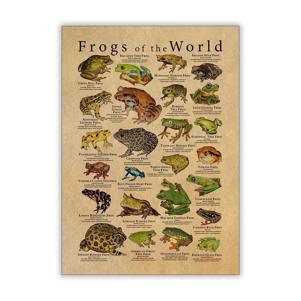 Poison Dart Frogs Poster Frogs of the World Species Art Print Scientific Illustration Canvas Painting Kids Room Wall Decoration