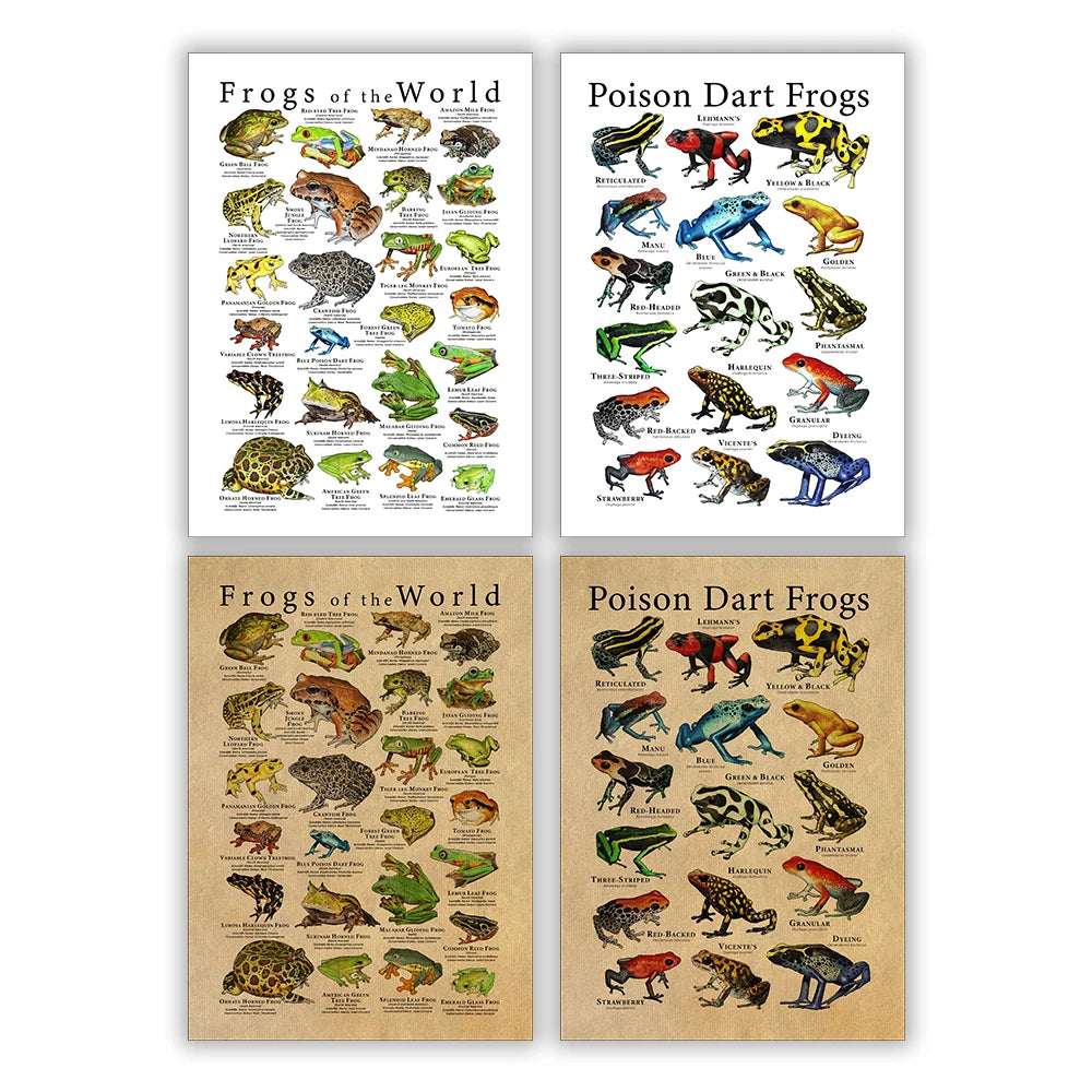 Poison Dart Frogs Poster Frogs of the World Species Art Print Scientific Illustration Canvas Painting Kids Room Wall Decoration