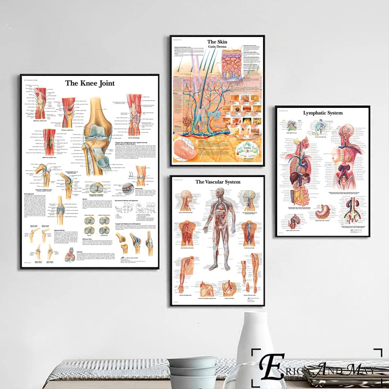 The Body Structure Skeleton Wall Art Nervous System Anatomy Canvas Picture Education Poster Medical Decoracion Painting Prints