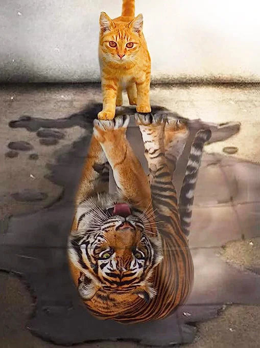 Huacan DIY Diamond Painting Cat Full Round Square Drill Embroidery Tiger Cross Stitch Kit Art Handmade Gift Home Decoration
