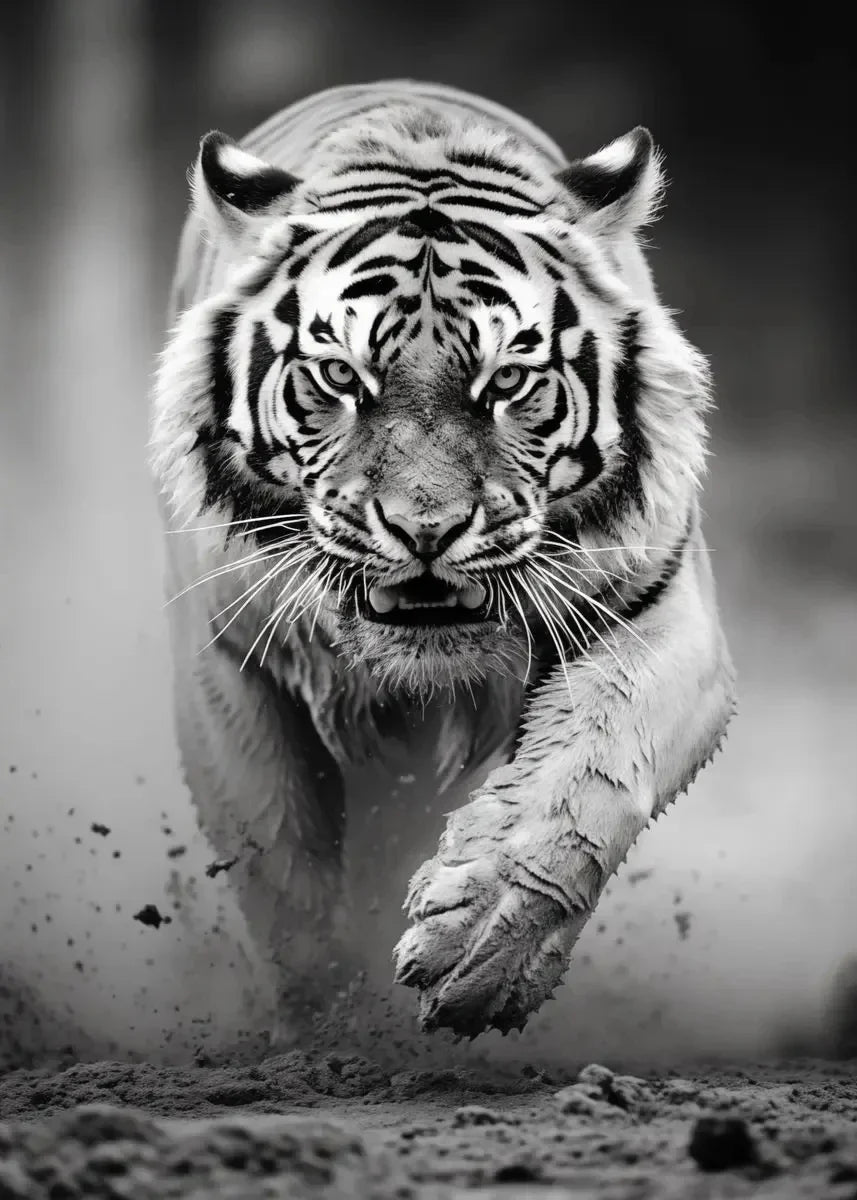 Animals Black and White Poster Prints Tiger Elephant Deer Cheetah Bull Horse Canvas Painting Wall Art Living Room Home Decor
