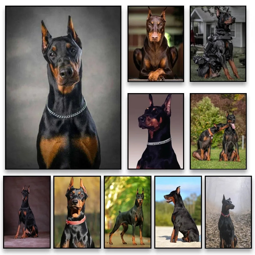 Doberman Cool Dog Poster Home Living Room Bedroom Bar Cafe Art Decor