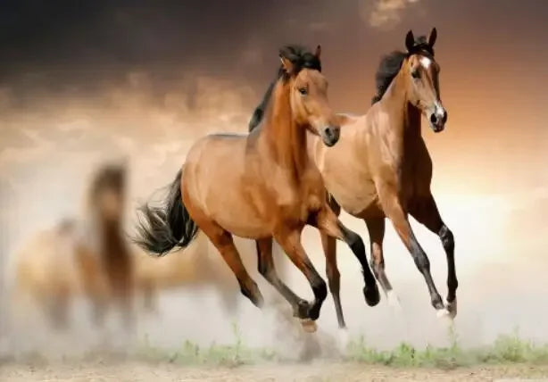 Wild Horse Running Canvas Painting  Animal Steed Wall Art Posters and Prints for Home Decoration Modern Room Decor Cuadros