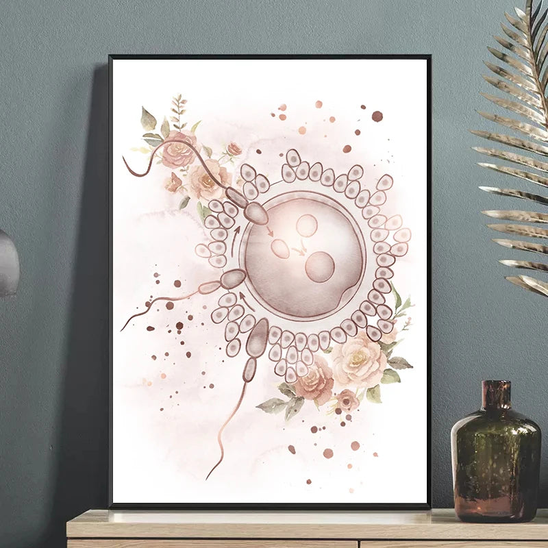 Female Anatomy Fertility Pregnancy Posters Prints Canvas Painting Wall Art Picture Gynecology Obstetrics Decoration Mural Gift