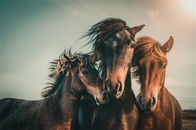 Horse Wall Art Posters Horse Running Canvas Art Print Painting Beautiful Horses Pictures for Modern Home Living Room Decoration