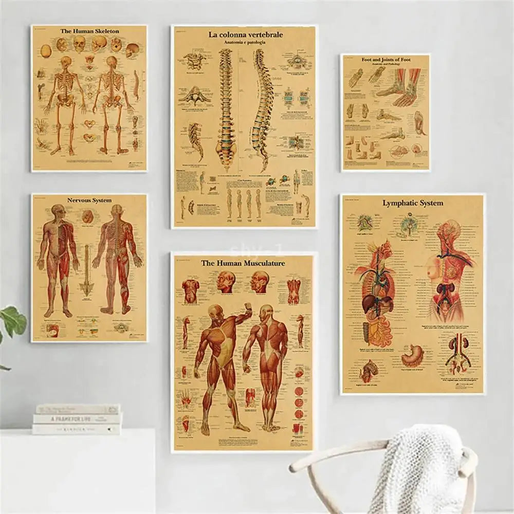 Human Anatomy Educational Poster Spine and Joints Canvas Wall Art for Medical Education and Home Decor Unframed