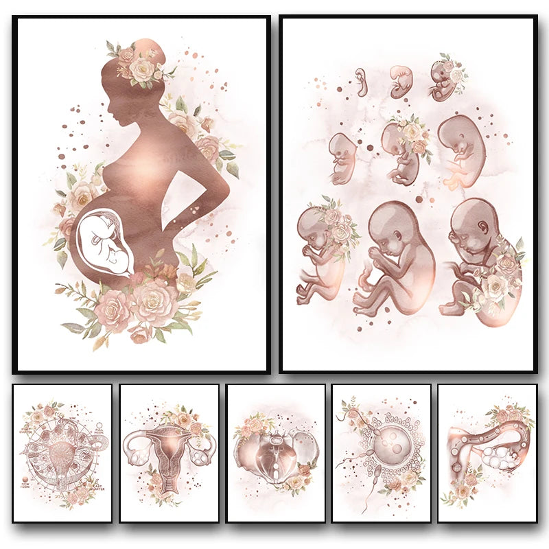Female Anatomy Fertility Pregnancy Posters Prints Canvas Painting Wall Art Picture Gynecology Obstetrics Decoration Mural Gift