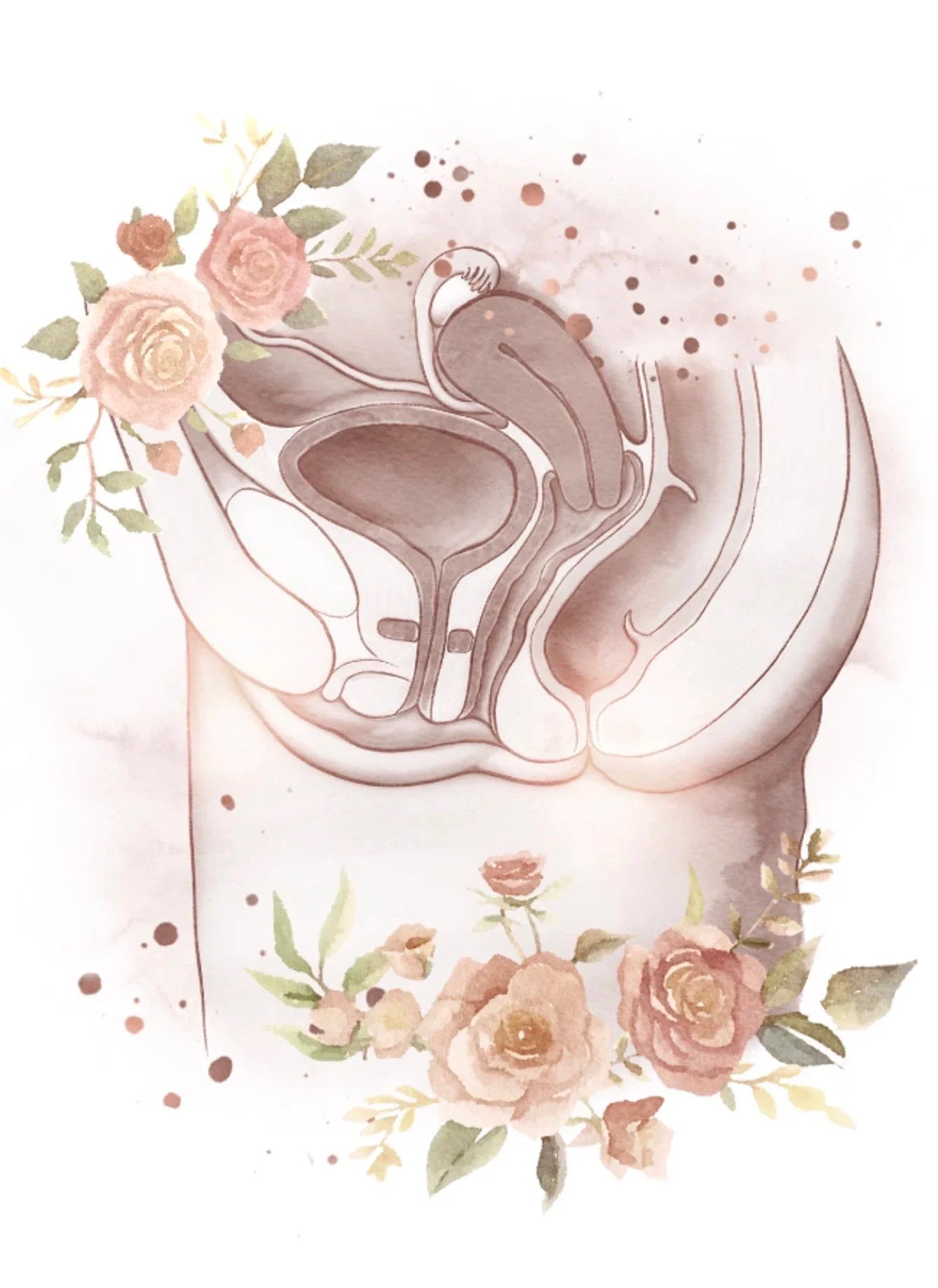 Female Anatomy Fertility Pregnancy Posters Prints Canvas Painting Wall Art Picture Gynecology Obstetrics Decoration Mural Gift