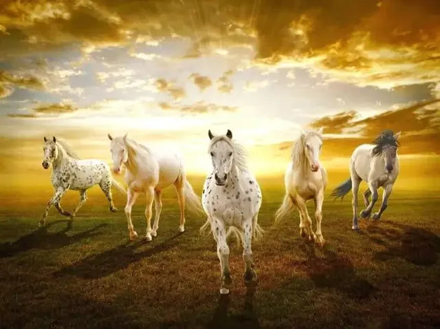 Wild Horse Running Canvas Painting  Animal Steed Wall Art Posters and Prints for Home Decoration Modern Room Decor Cuadros