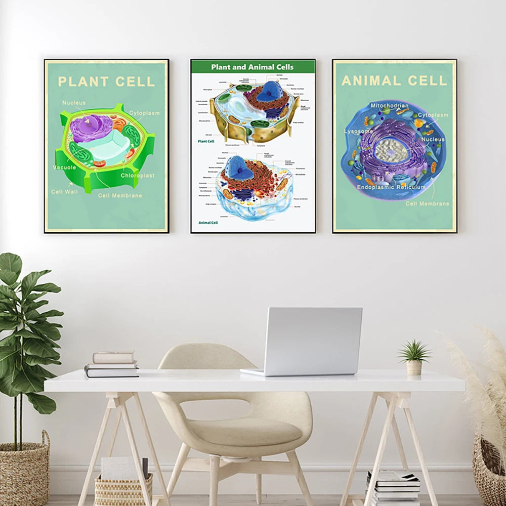 Animal and Plant Cell Biology Posters and Prints Science Educational Wall Art Canvas Painting Pictures Laboratory Office Decor