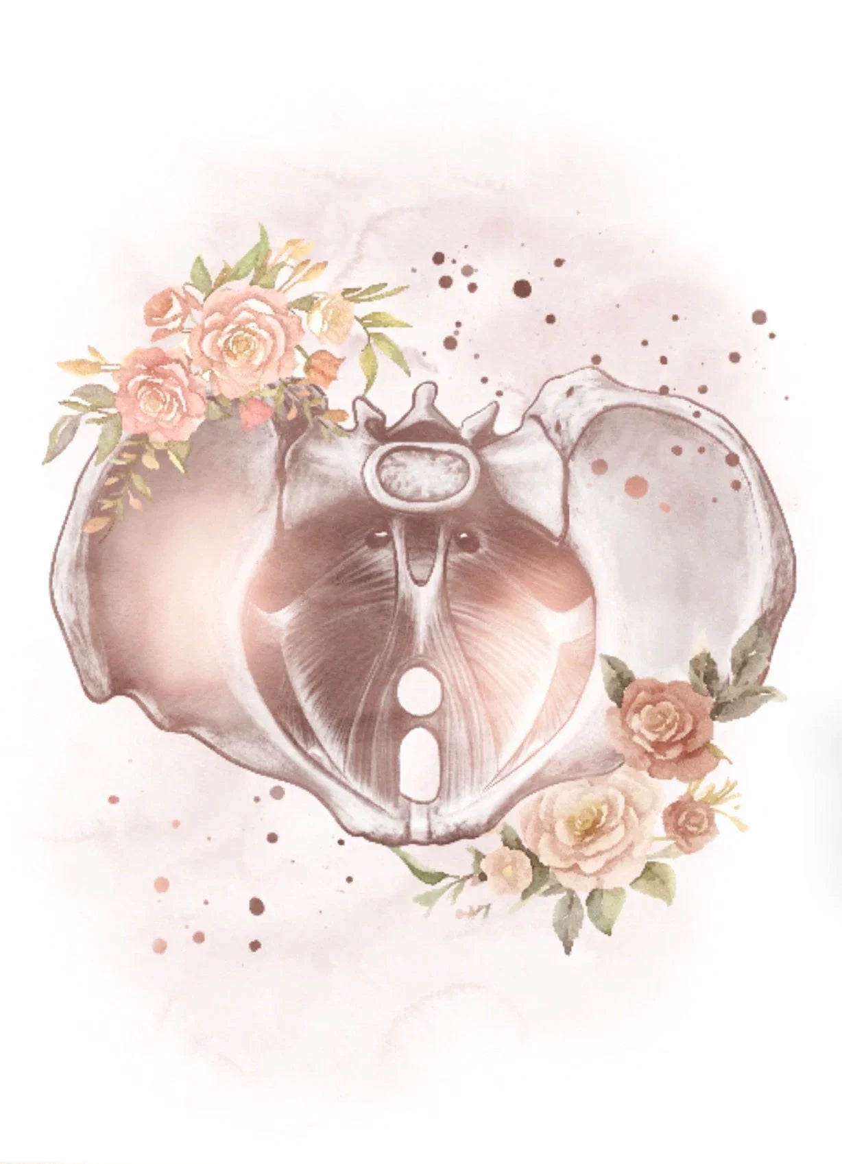 Female Anatomy Fertility Pregnancy Posters Prints Canvas Painting Wall Art Picture Gynecology Obstetrics Decoration Mural Gift