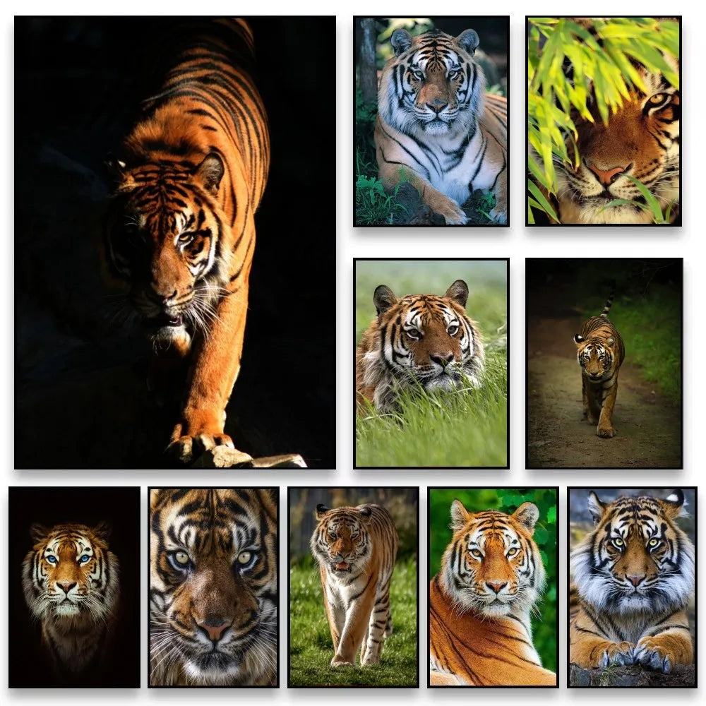 Animal Tiger Poster Home Living Room Bedroom Bar Cafe Art Decor